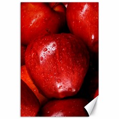 Apples 1 Canvas 12  X 18   by trendistuff