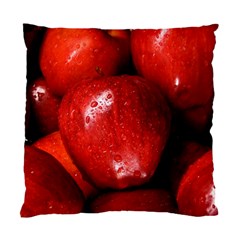 Apples 1 Standard Cushion Case (one Side) by trendistuff