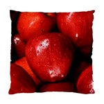 APPLES 1 Standard Cushion Case (One Side)