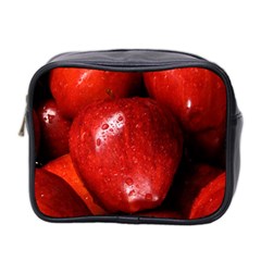 Apples 1 Mini Toiletries Bag 2-side by trendistuff