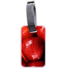 Apples 1 Luggage Tags (two Sides) by trendistuff