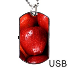 Apples 1 Dog Tag Usb Flash (one Side) by trendistuff