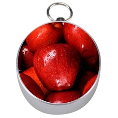 Apples 1 Silver Compasses by trendistuff