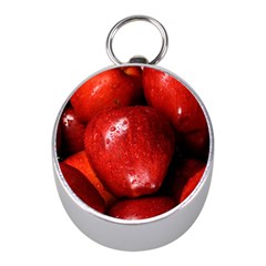 Apples 1 Mini Silver Compasses by trendistuff