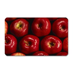 Apples 2 Magnet (rectangular) by trendistuff