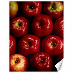 Apples 2 Canvas 12  X 16   by trendistuff