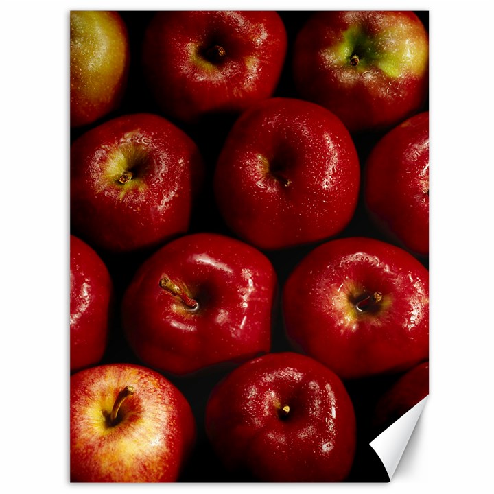 APPLES 2 Canvas 36  x 48  