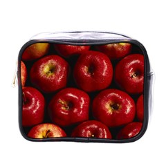 Apples 2 Mini Toiletries Bags by trendistuff