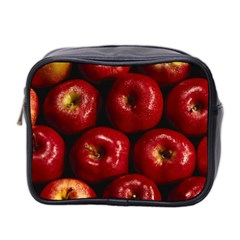 Apples 2 Mini Toiletries Bag 2-side by trendistuff