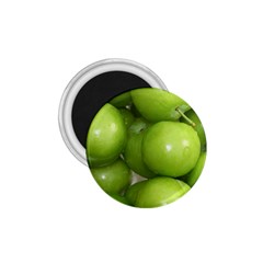 Apples 4 1 75  Magnets by trendistuff