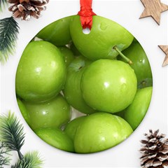 Apples 4 Ornament (round) by trendistuff