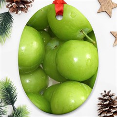 Apples 4 Ornament (oval) by trendistuff