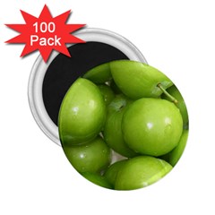 Apples 4 2 25  Magnets (100 Pack)  by trendistuff