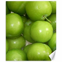 Apples 4 Canvas 8  X 10  by trendistuff