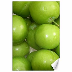 Apples 4 Canvas 12  X 18   by trendistuff