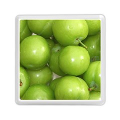 Apples 4 Memory Card Reader (square)  by trendistuff