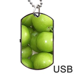 Apples 4 Dog Tag Usb Flash (one Side) by trendistuff