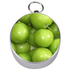 Apples 4 Silver Compasses by trendistuff