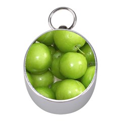 Apples 4 Mini Silver Compasses by trendistuff