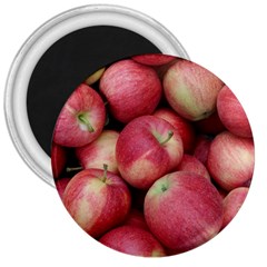 Apples 5 3  Magnets by trendistuff