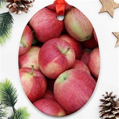 Apples 5 Ornament (oval) by trendistuff