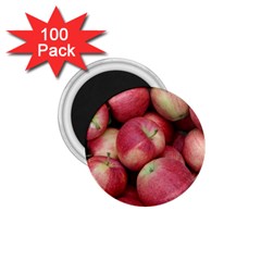 Apples 5 1 75  Magnets (100 Pack)  by trendistuff