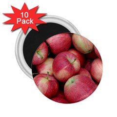 Apples 5 2 25  Magnets (10 Pack)  by trendistuff