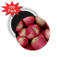 Apples 5 2 25  Magnets (100 Pack)  by trendistuff