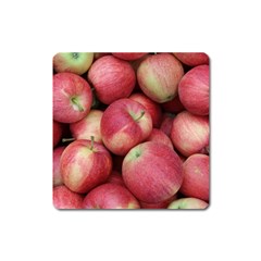 Apples 5 Square Magnet by trendistuff