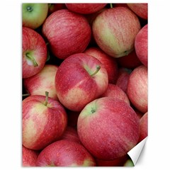 Apples 5 Canvas 12  X 16   by trendistuff