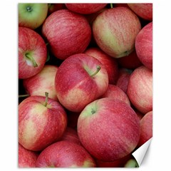 Apples 5 Canvas 16  X 20   by trendistuff