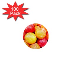 Apricots 1 1  Mini Magnets (100 Pack)  by trendistuff