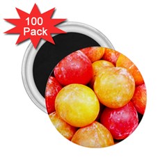 Apricots 1 2 25  Magnets (100 Pack)  by trendistuff