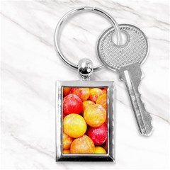 Apricots 1 Key Chains (rectangle)  by trendistuff