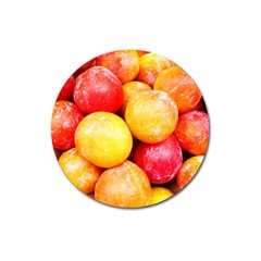 Apricots 1 Magnet 3  (round) by trendistuff