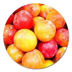 Apricots 1 Magnet 5  (round) by trendistuff