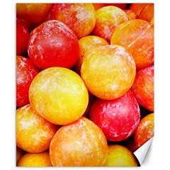 Apricots 1 Canvas 8  X 10  by trendistuff