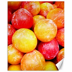 Apricots 1 Canvas 16  X 20   by trendistuff