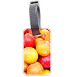 APRICOTS 1 Luggage Tags (Two Sides) Front