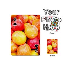 Apricots 1 Playing Cards 54 (mini) 