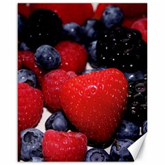 Berries 1 Canvas 16  X 20   by trendistuff