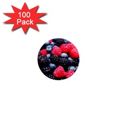 Berries 2 1  Mini Magnets (100 Pack)  by trendistuff