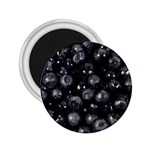 BLUEBERRIES 1 2.25  Magnets