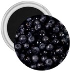 BLUEBERRIES 1 3  Magnets