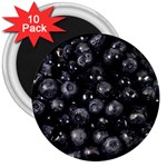 BLUEBERRIES 1 3  Magnets (10 pack) 