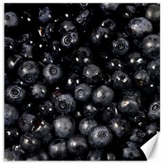 BLUEBERRIES 1 Canvas 20  x 20  