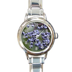 Blueberries 2 Round Italian Charm Watch by trendistuff