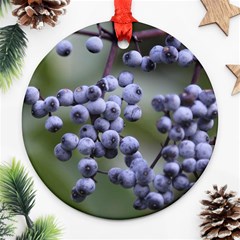 Blueberries 2 Ornament (round) by trendistuff