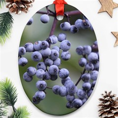 Blueberries 2 Ornament (oval) by trendistuff