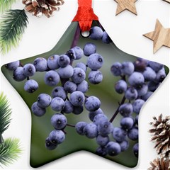 Blueberries 2 Ornament (star) by trendistuff